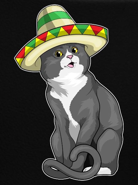 Cat Sombrero