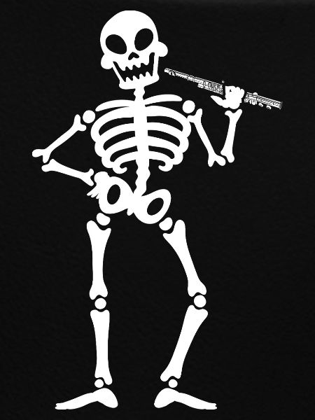 Flötist Querflöte