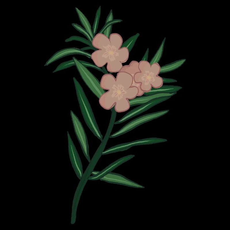 Branche rose Fleur de laurier-rose