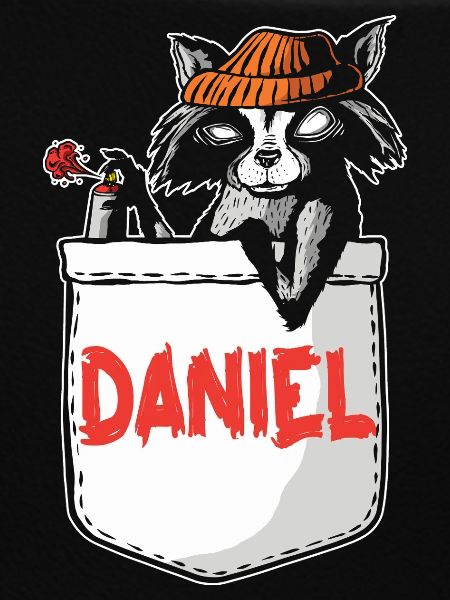 Waschbär Daniel