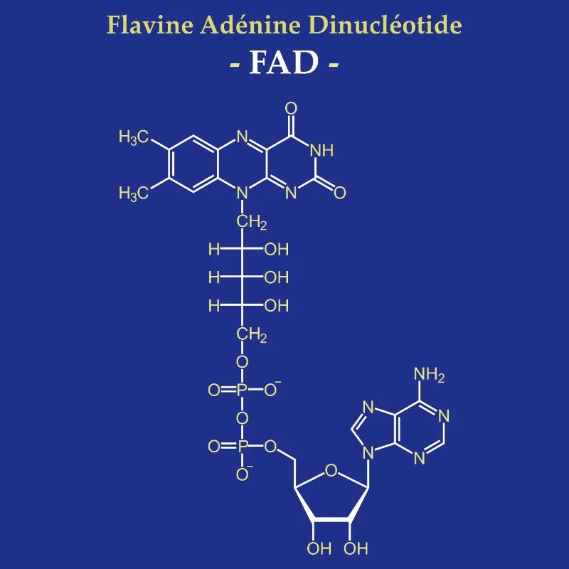 ADF Flavin Adenine Cofactor