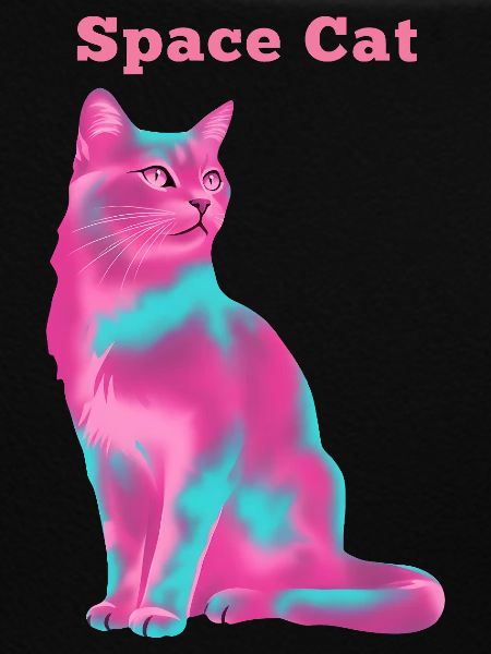 Chat de l’espace