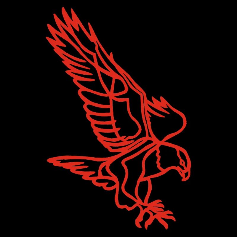Red eagle in flight