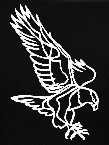 White Eagle in Flight