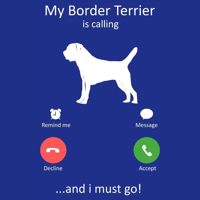 Loyal Border Terrier Dog Breed Is calling