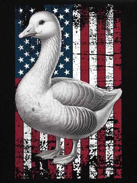 Embden Goose US Emdengans