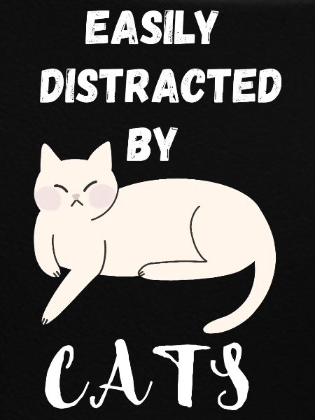 Easily distracted by Cats