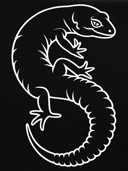 Gecko Silhouette Kontrast