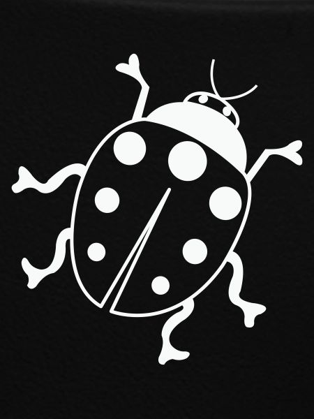 Ladybug 01