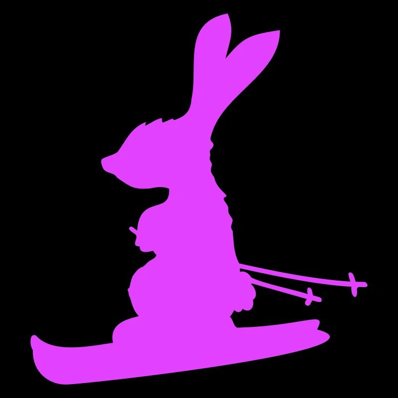 Rabbit Ski Bunny Skiing Winter Skiing Snow
