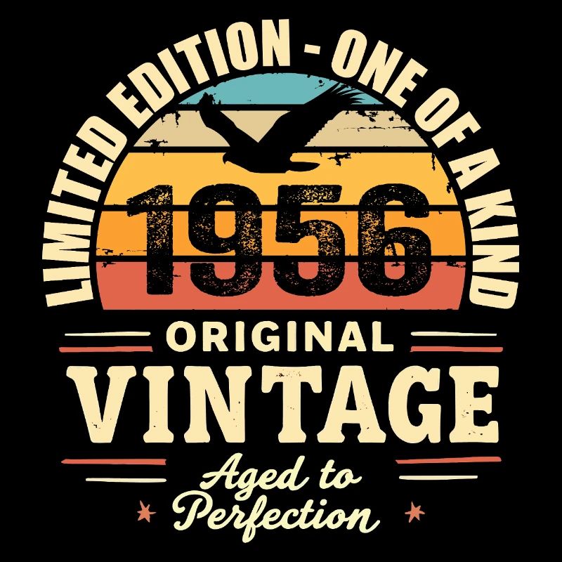1956 Geburtstagsgeschenk Vintage 1956 Retro 1956