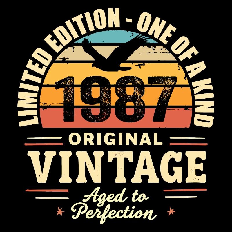 Birthday Gift 1987 Vintage 1987 Retro 1987