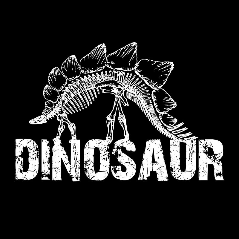 Dinosaur Dinosaur Stegosaurus Skeleton Jurassic Dino