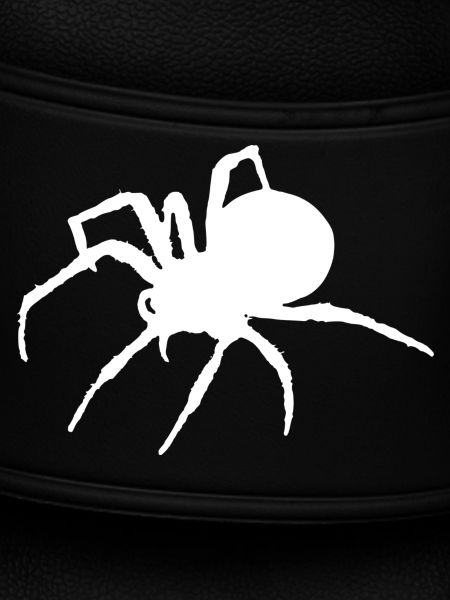 spider