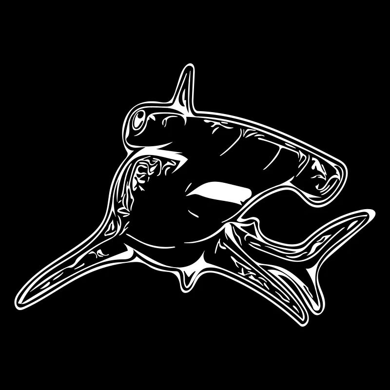 Requin-marteau élégant