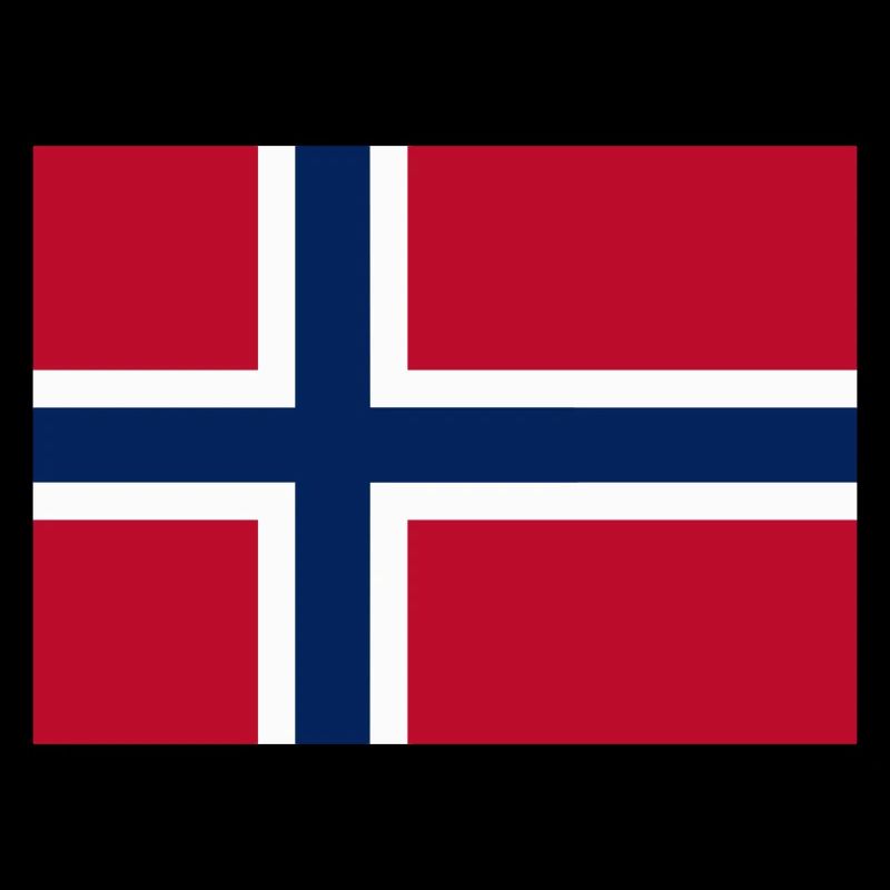 Norway flag