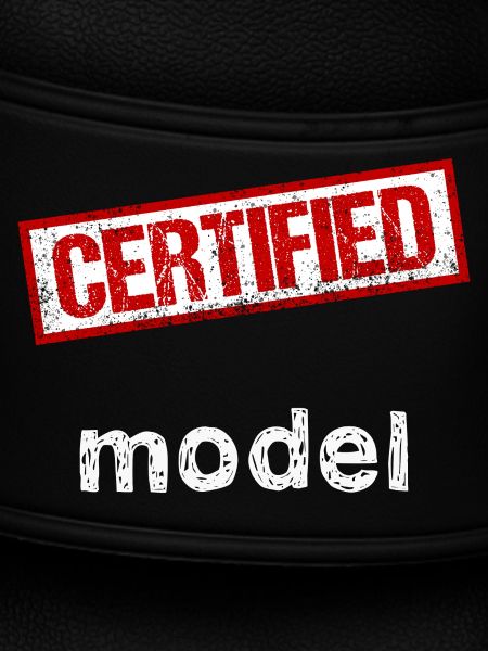 Model