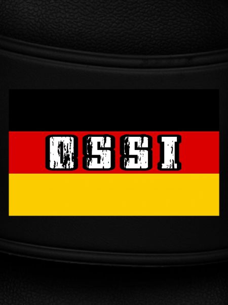 Ossi