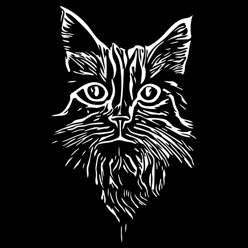 Chat - vecteur