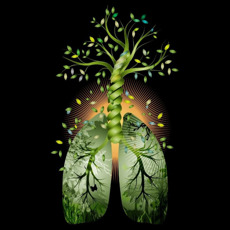 The forest, the green lung. Tree with lung