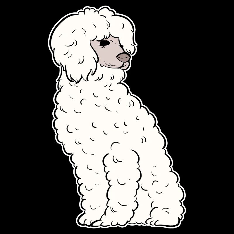 Caniche Chien Nain Caniche Jouet Caniche Petit Caniche Chiot Chiot