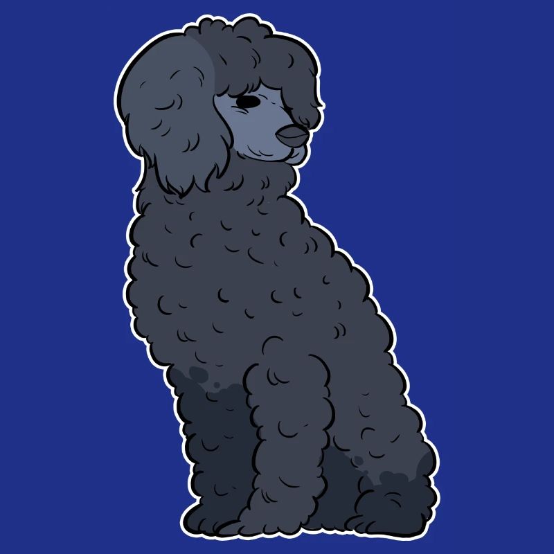 Caniche Chien Nain Caniche Jouet Caniche Petit Caniche Chiot Chiot