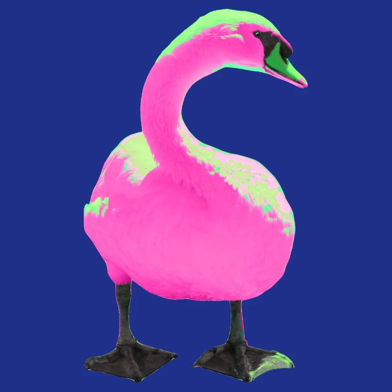 Schwan