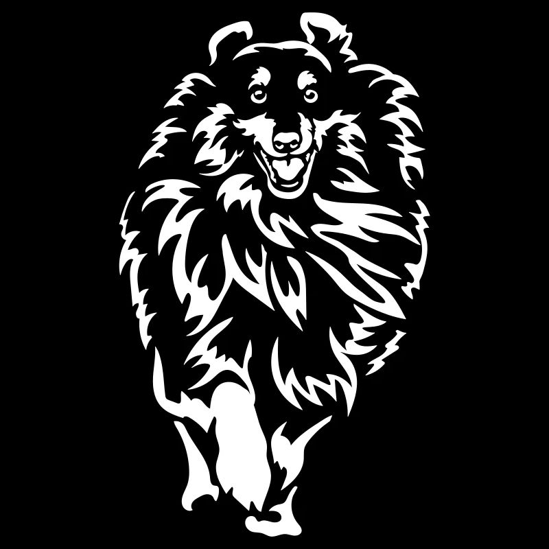 Sheltie « Édition Noire »