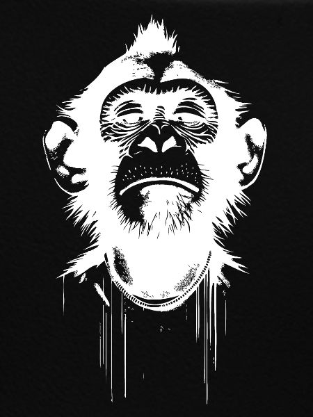 Monkey President