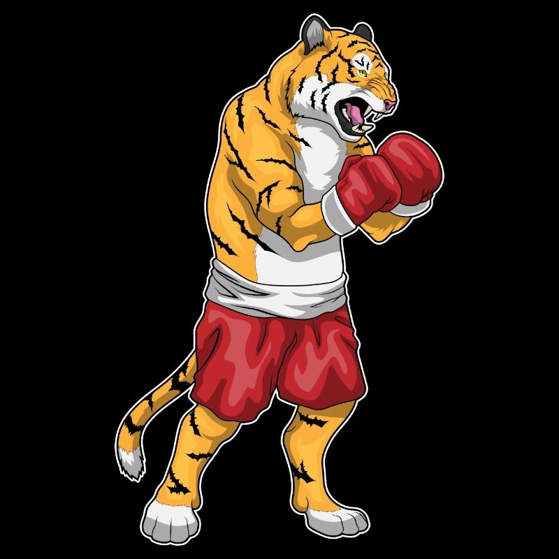 Gants de boxe Tiger Boxer Boxing
