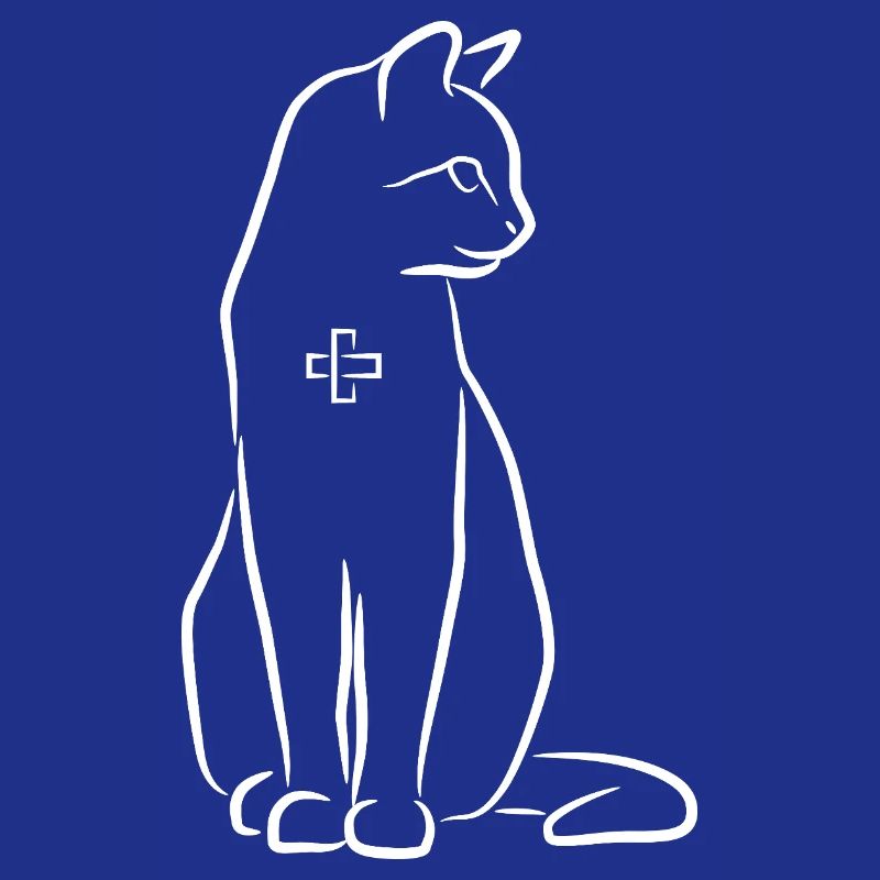Tierarzt Katze