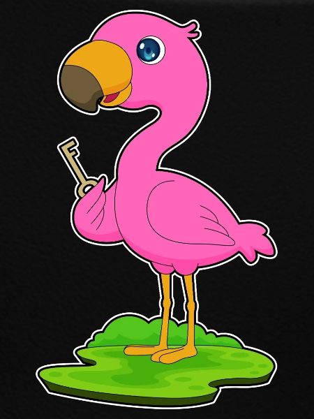 Flamingo Key