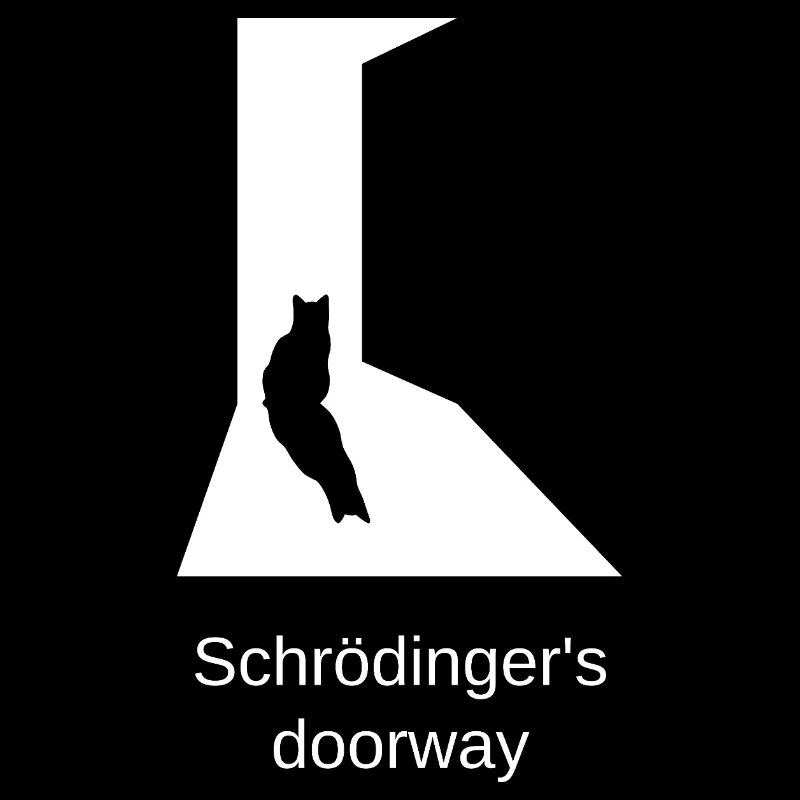 Le chat de Schrödinger - édition porte