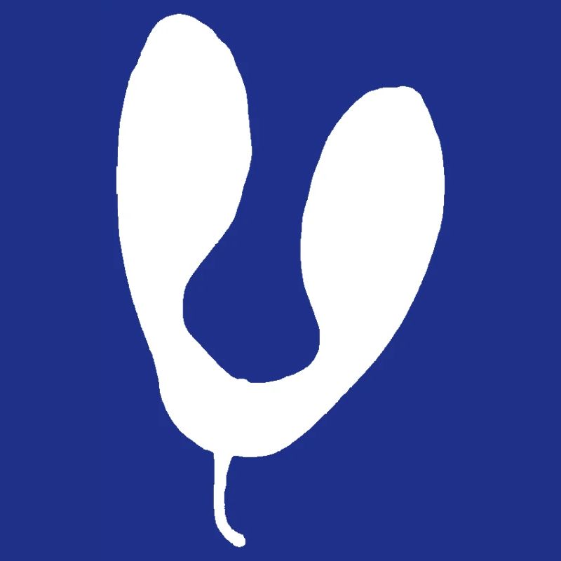 U-Shape Abstract Silhouette