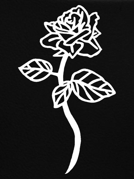 The White Rose