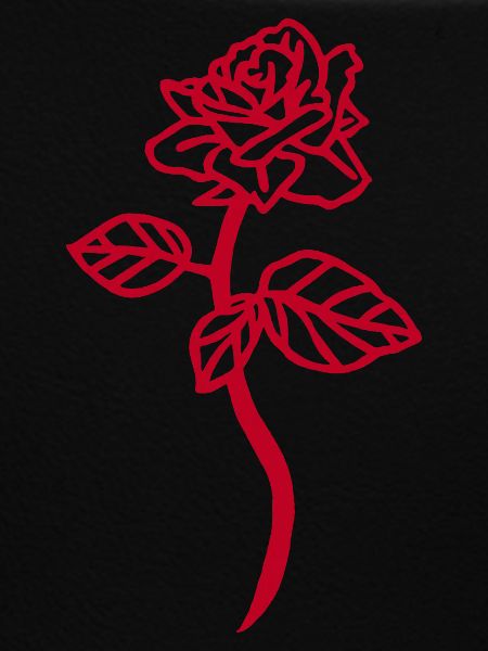 Die rote Rose