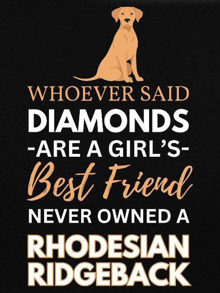 Rhodesian Ridgeback Bester Freund Hund