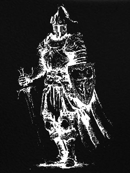 Skeleton Knight Armor
