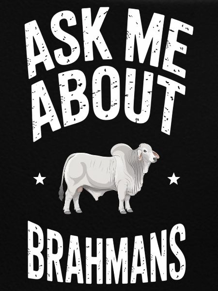 Brahman Cattle Cows Gift