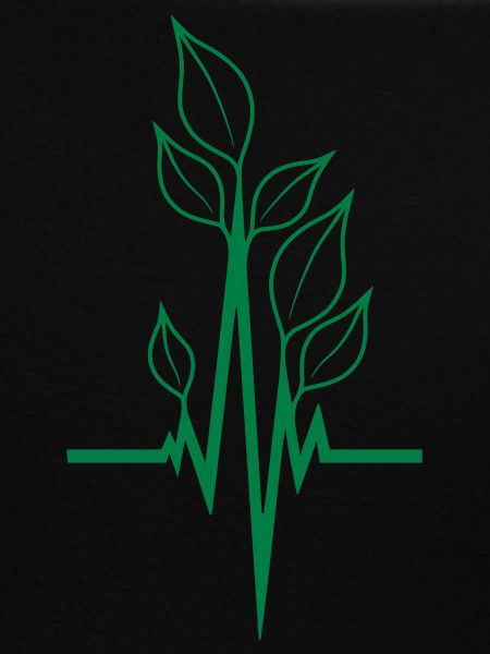 Ecologically vegan pulse
