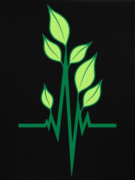 Vegan ecological pulse