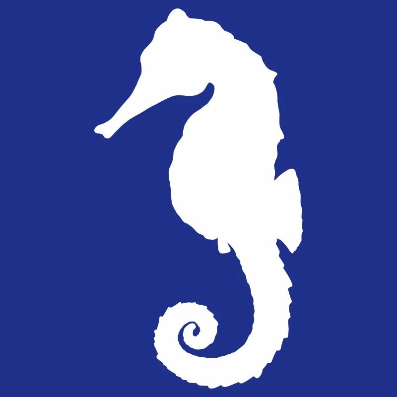 Seepferdchen