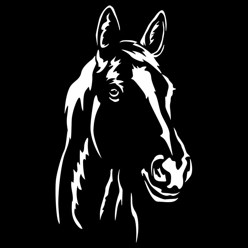Tête de cheval « Black Edition »