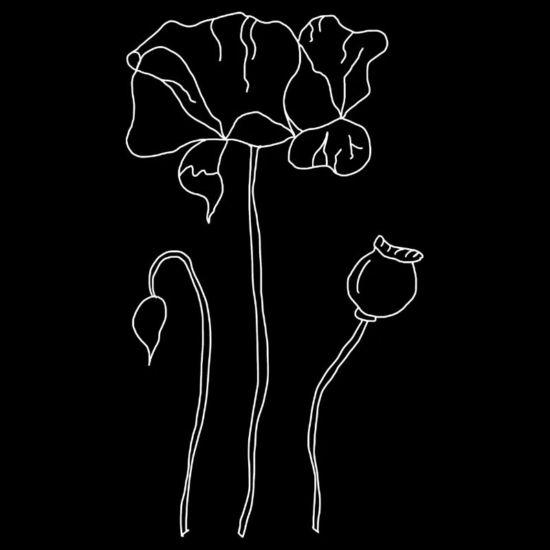 Mohnblume