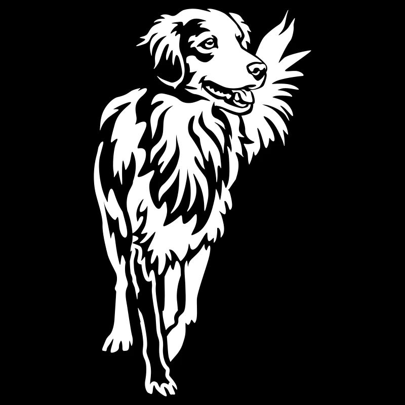 Canard tolling Retriever « Black Edition »