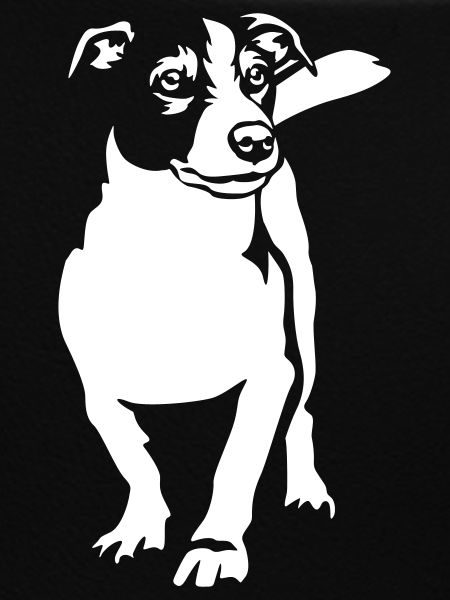 Jack Russell Terrier "Black Edition"