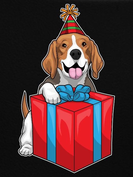 Beagle Birthday Package
