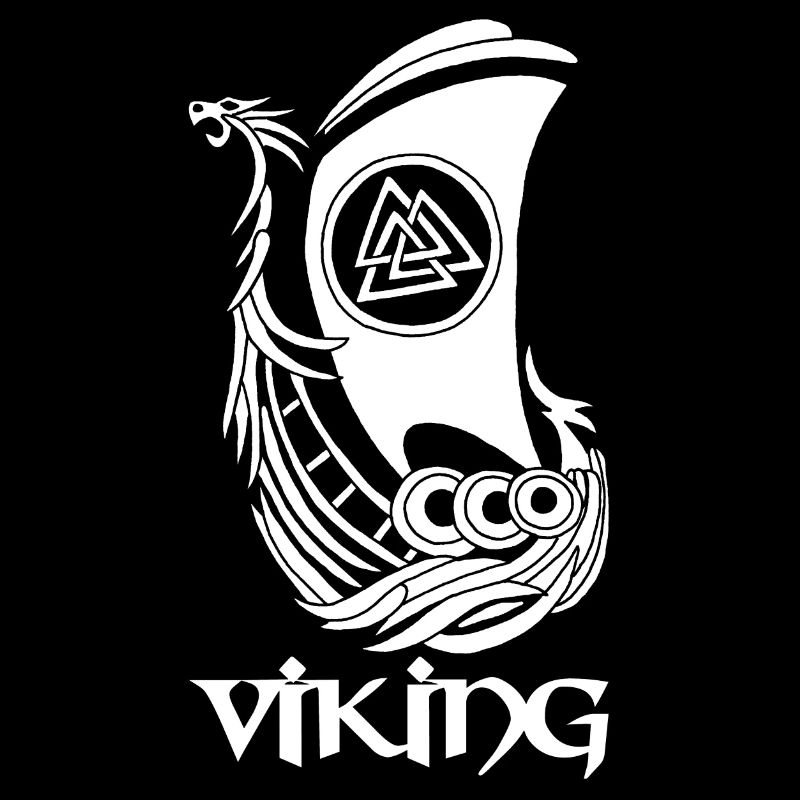 Bateau viking blanc
