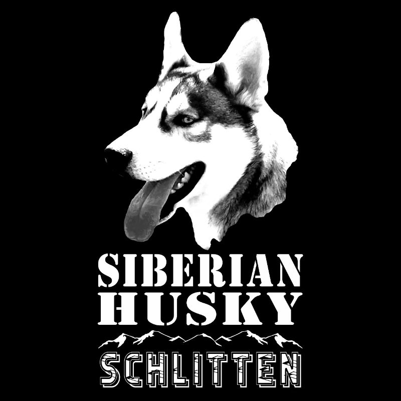 Sibirischer Husky mit Alpenlandschaft - Schlitten