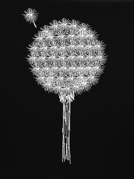 Pusteblume